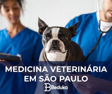MELHORES-FACULDADES-DE-MEDICINA-VETERINÁRIA-EM-SÃO-PAULO