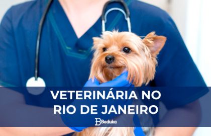MELHORES-FACULDADES-DE-MEDICINA-VETERINÁRIA-NO-RIO-DE-JANEIRO