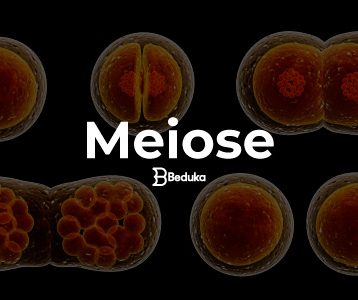 O que é Meiose