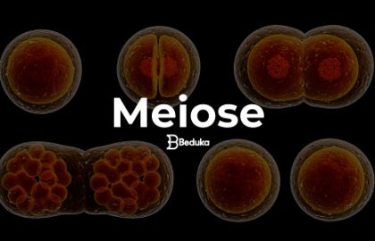 O que é Meiose