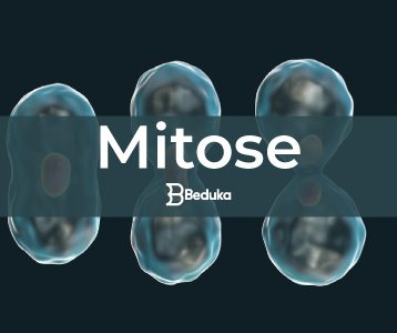 O que é Mitose