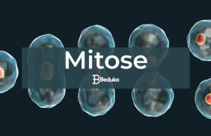 O que é Mitose