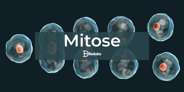 Mitose - Biologia Enem