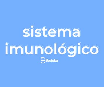 O que é sistema imunológico