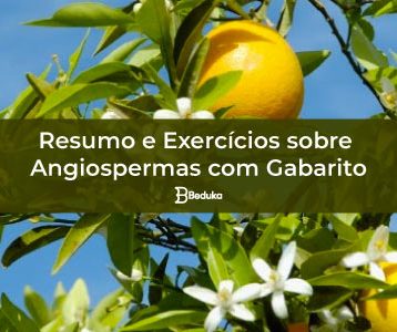 Exercícios sobre Angiospermas