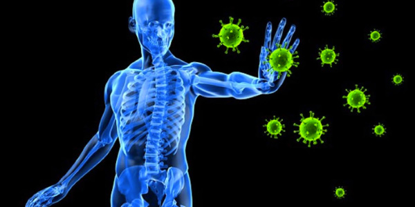 organismos-vivos-tentando-entrar-dentro-do-corpo-humano-mas-impedidos-pelo-sistema-imunológico