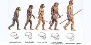 TEORIA DA EVOLUÇÃO DE DARWIN saiba tudo sobre ela