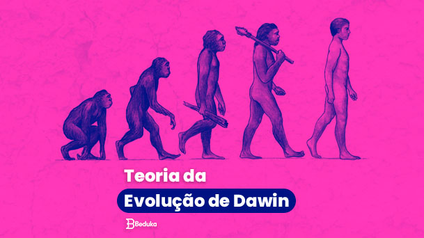 Trabalho teoria da evolução