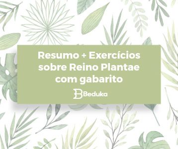 Exercícios sobre Reino Plantae