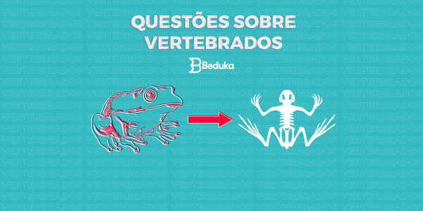 Exemplo do Jogo de perguntas e respostas sobre Evolução de Vertebrados