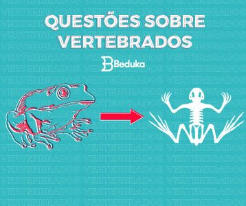 Questões-sobre-Vertebrados