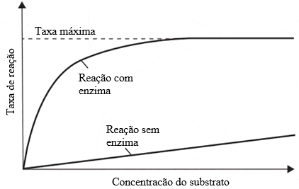 gráfico_de_reação_e_concentração_de_substrato_de_enzimas