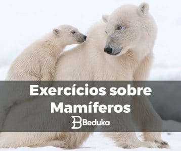 Exercícios_sobre_Mamíferos