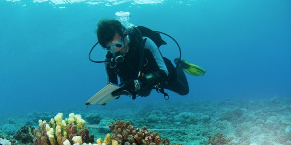 O-que-um-biólogo-faz-biologia-marinha