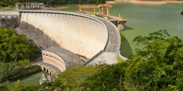 O-que-um-biólogo-faz-biorremediação-e-controle-de-barragens