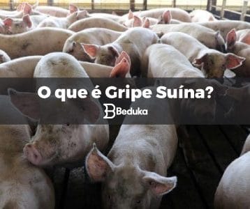 O que é Gripe Suína!