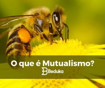 O que é Mutualismo.