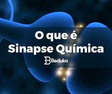 O que é sinapse química