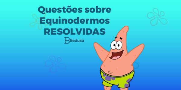 Questões sobre Equinodermos com GABARITO + Rseumo da matéria