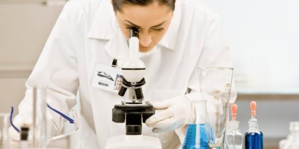 A nova Teoria da Evolução de Darwin