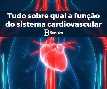 Qual a função do Sistema Cardiovascular - tudo sobre!