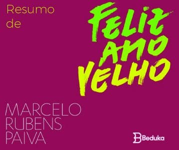 Resumo de Feliz Ano Velho - Marcelo Paiva!