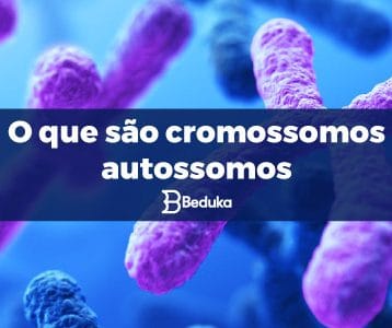 Tudo sobre o que são cromossomos autossomos!