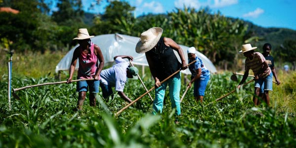 O que é agricultura? - Brasil Escola