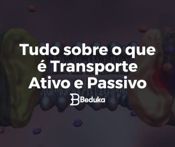 Aprenda tudo sobre o que é Transporte Ativo e Passivo!
