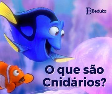 Descubra tudo sobre o que são Cnidários!