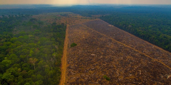 Desmatamento da Floresta Amazônica