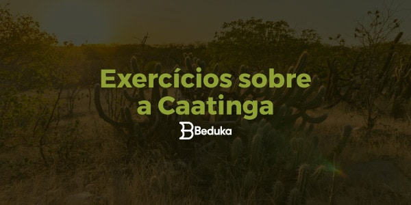 Questões sobre a Caatinga - NerdProfessor