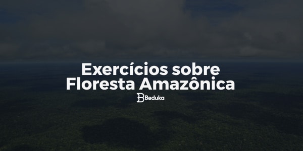 Confira 8 dicas de sobrevivência na Floresta Amazônica - Portal