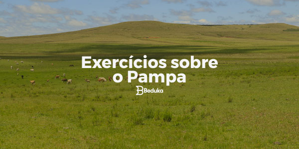 PDF) BIOMA PAMPA: RELAÇÕES SOLO-VEGETAÇÃO E EXPERIÊNCIAS DE