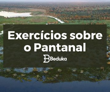 Exercícios_sobre_Pantanal