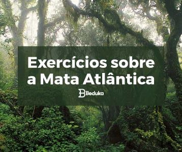 Exercícios_sobre_a_Mata_Atlântica