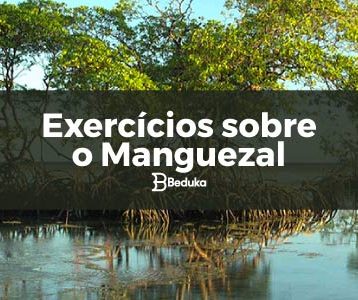 Exercícios_sobre_o_Manguezal
