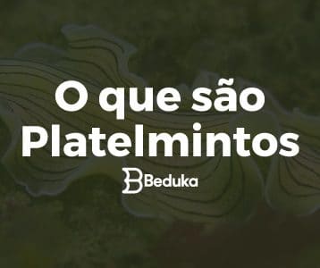 O que são Platelmintos - Tudo sobre o o assunto!