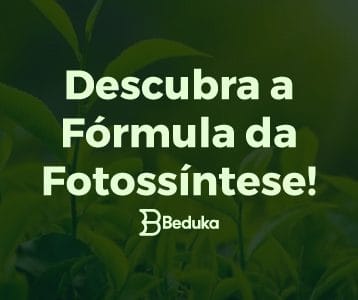 Qual a fórmula da fotossíntese - veja a explicação completa!