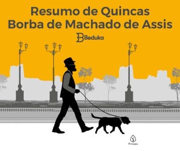 Resumo completo + Anáise do livro Quincas Borba!