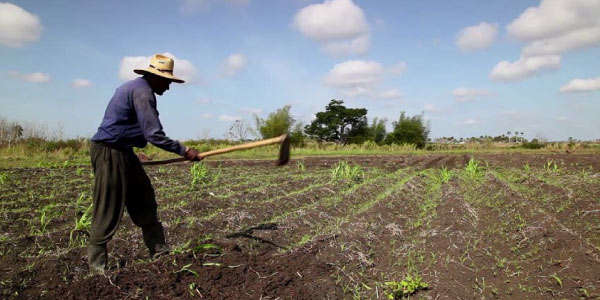 Resumo-de-ponciá-vicêncio-homem-negro-arando-o-campo-mechendo-na-lavroura