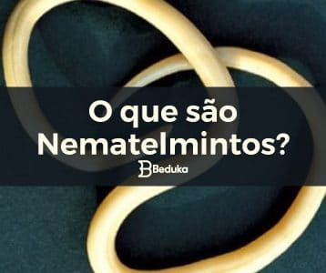 Tudo sobre o que são Nematelmintos!