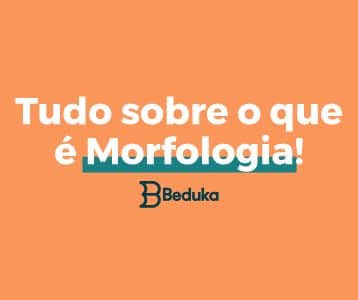 Tudo sobre o que é Morfologia!