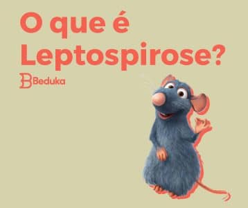 Capa da Leptospirose + imagem do rato do filme ratatouille - Tudo o que você saber sobre Leptospirose!