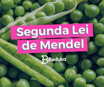 Entenda de uma vez por todas a Segunda Lei de Mendel e o experimento com as ervilhas!