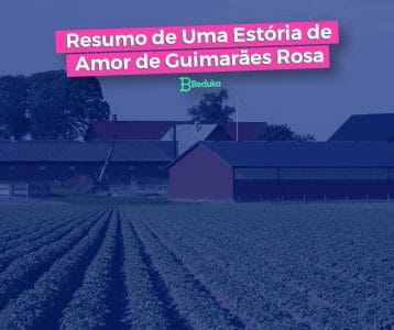 Resumo de Uma Estória de Amor + Análise - Guimarãe Rosa