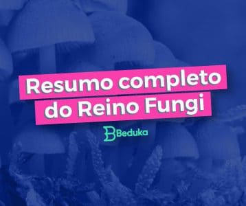 Tudo o que você precisa para entender o Reino Fungi!