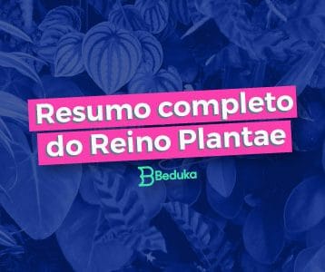 Tudo o que você precisa saber sobre o Reino Plantae!