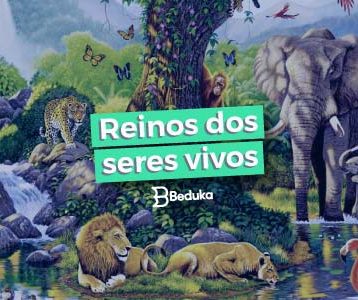 Tudo sobre os Reinos dos seres vivos!