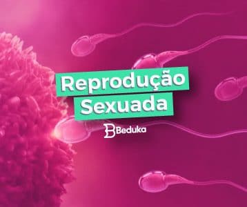 Entenda tudo sobre Reprodução Sexuada!